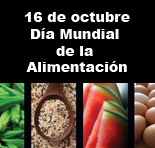 dia de la alimentacion salvadorpostigo.com