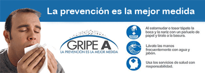 salvador postigo.com gripe A